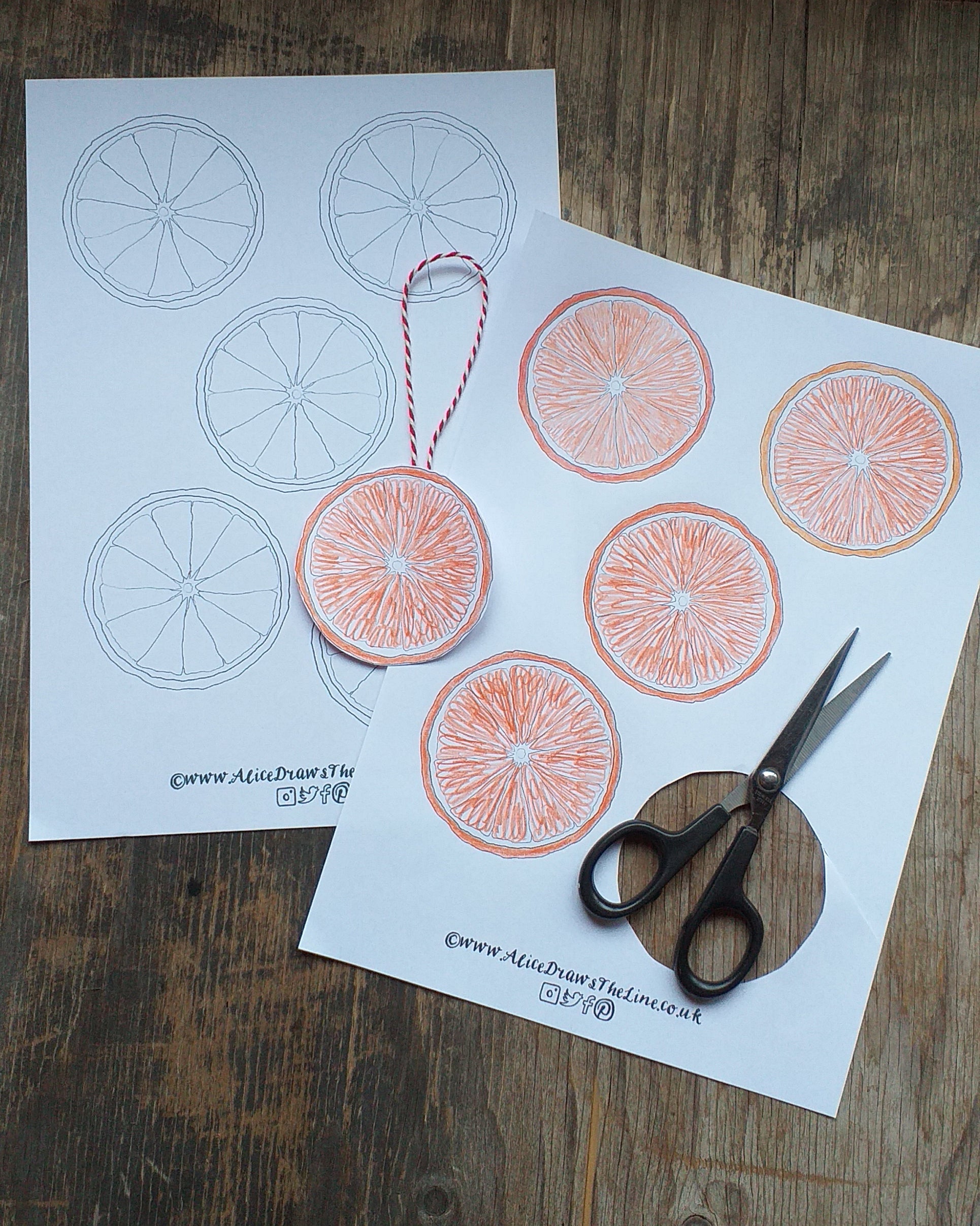 Festive paper bauble to make at home by Alice Draws the Line, free botanical colouring in sheet