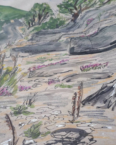 Extract of the Elan Valley mountain road study by Alice Draws the Line, outdoor sketching