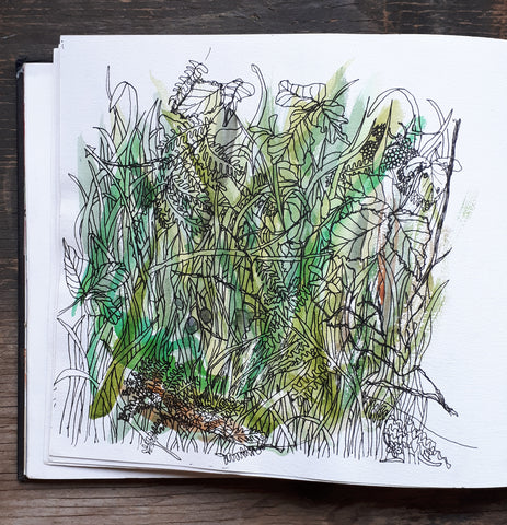 Hedgerow study by Alice Draws the Line from 2001 sketchbook