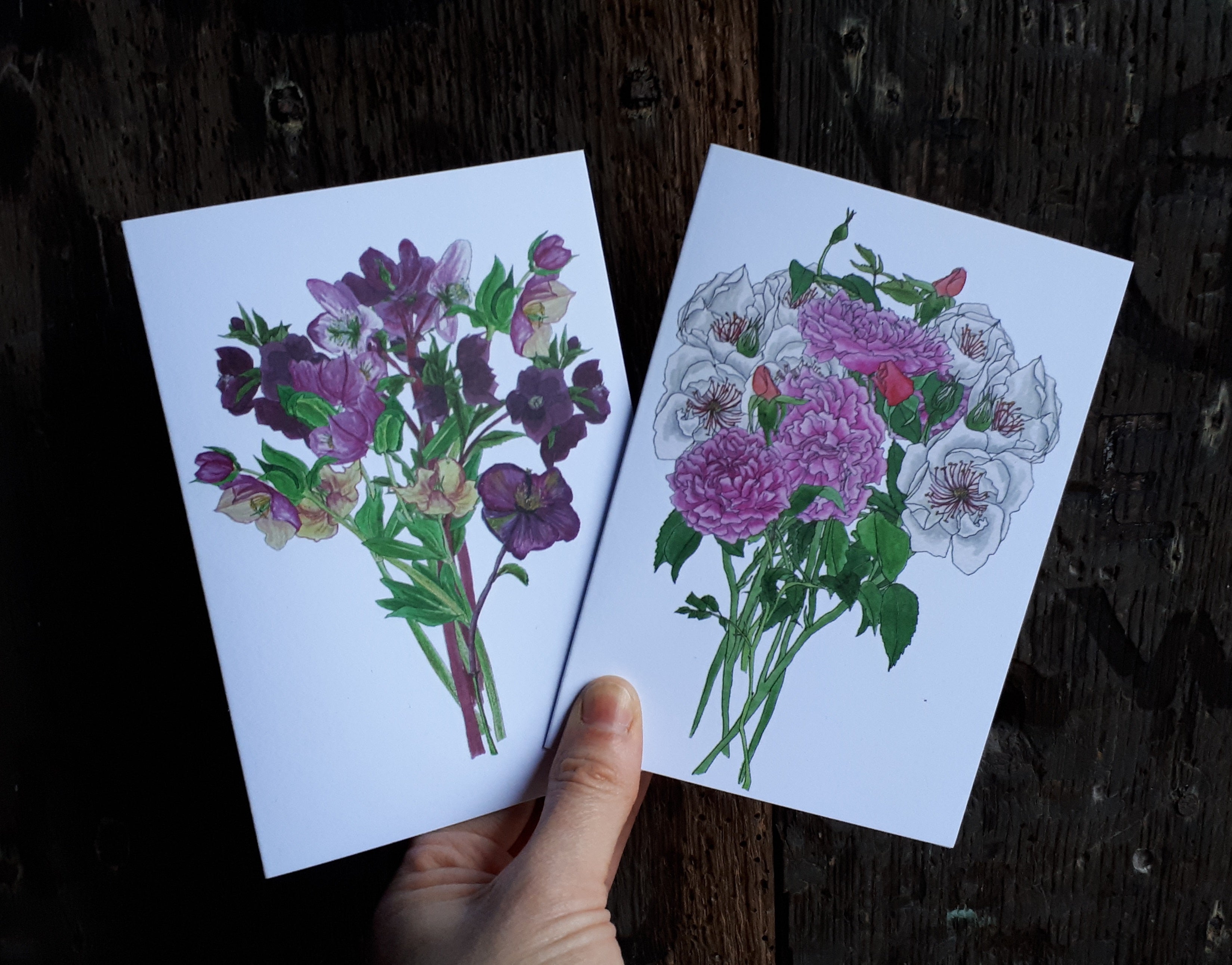 Hellebores and Roses greeting cards by Alice Draws the Line