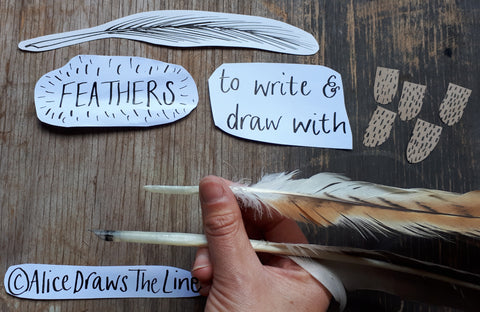 Making a quill pen from a feather by Alice Draws The Line