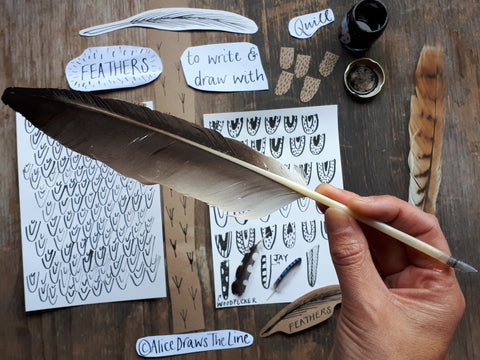 Feather quill pen made at home by Alice Draws The Line