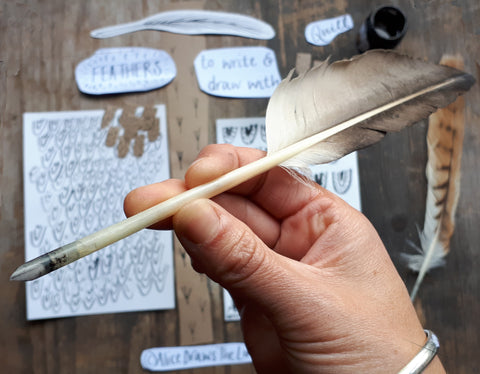 your finished quill pen made from a seagull feather by Alice Draws The Line