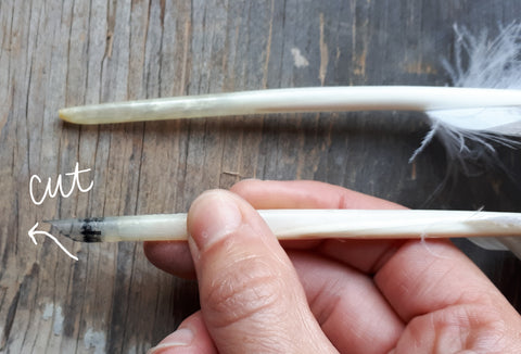 how to make a quill pen from a feather by Alice Draws The Line