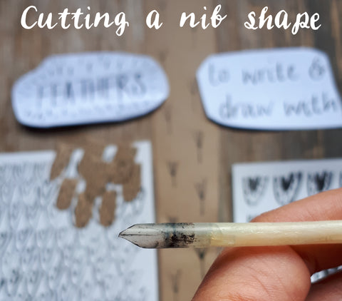 shaping the feather to make a nib for the quill