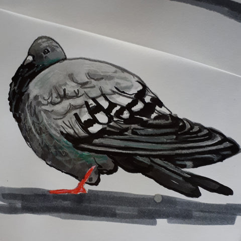 Pigeon in mixed media by Alice Draws the Line