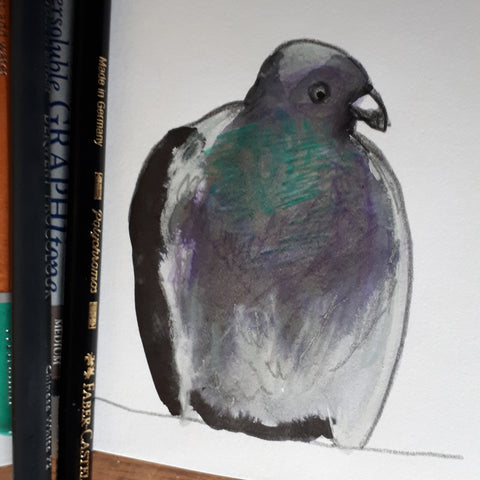 Pigeon study by Alice Draws the Line