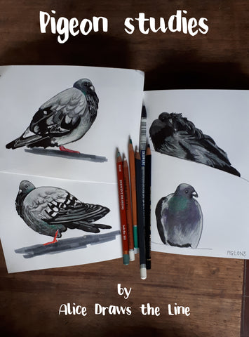 Pigeon studies by Alice Draws the Line