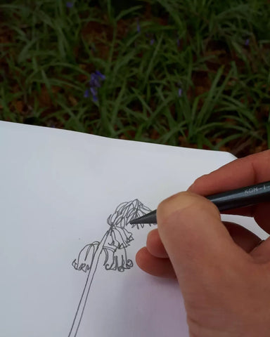 Sketching bluebells in park wood by Alice Draws the Line