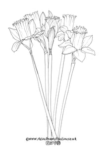 Garden flowers colouring in sheets – Alice Draws The Line