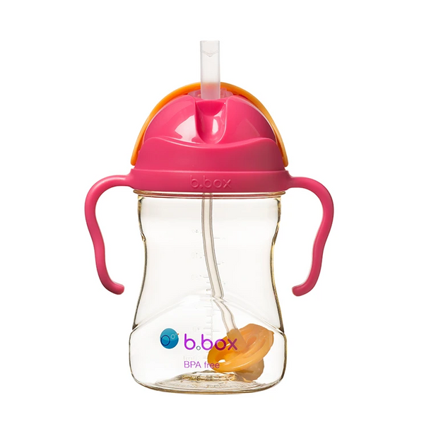 Sippy Cup (Pink Pomegranate)