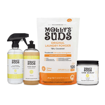 Going fast - FREE Foaming Hand Soap [NEW!] - Molly's Suds