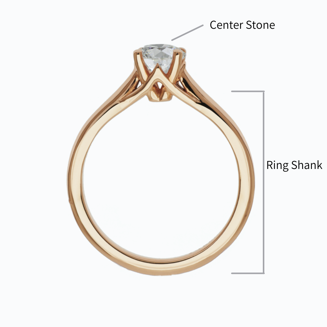 anatomy of an engagement ring