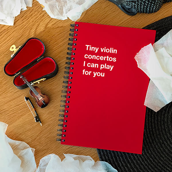 A WTF Notebook titled: Tiny violin concertos I can play for you