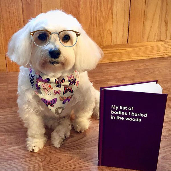 A dog posing with a WTF Notebook