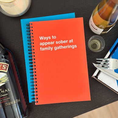 An Easter gift WTF Notebook titled: Ways to appear sober at family gatherings