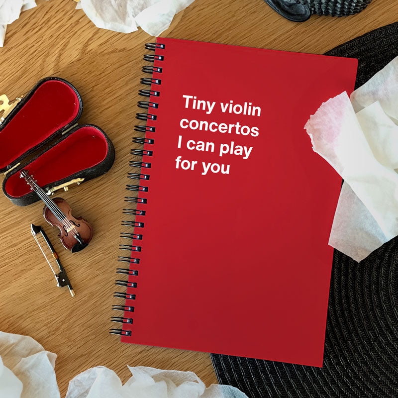Tiny violin concertos I can play for you