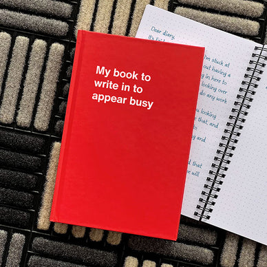 Funny Hanukkah gift idea: My book to write in to appear busy
