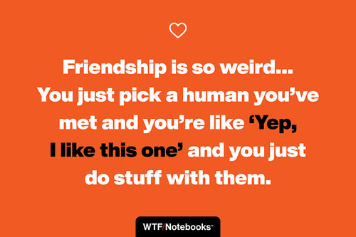 A funny & sassy friendship quote: Weird