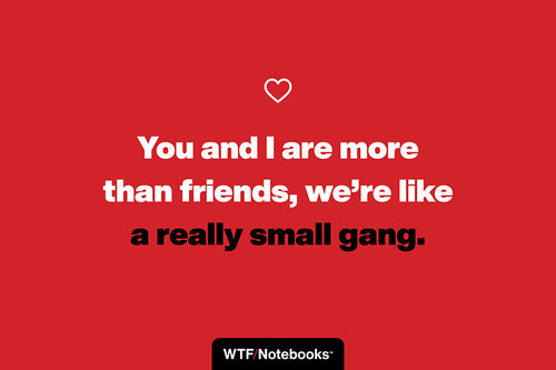 A funny & sassy friendship quote: Small gang