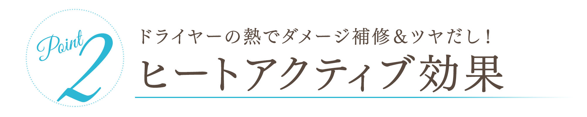 Point2 ドライヤーの熱でダメージ補修&ツヤだし! ヒートアクティブ効果