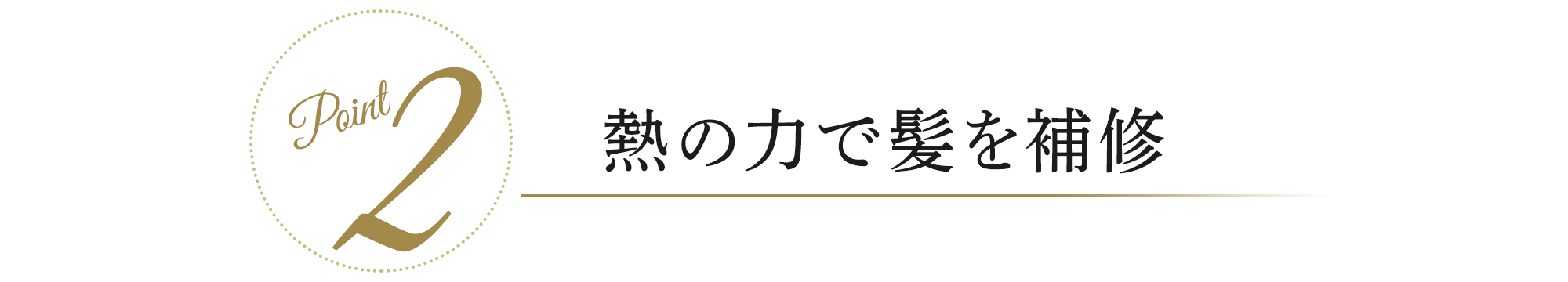 Point2 熱の力で髪を補修