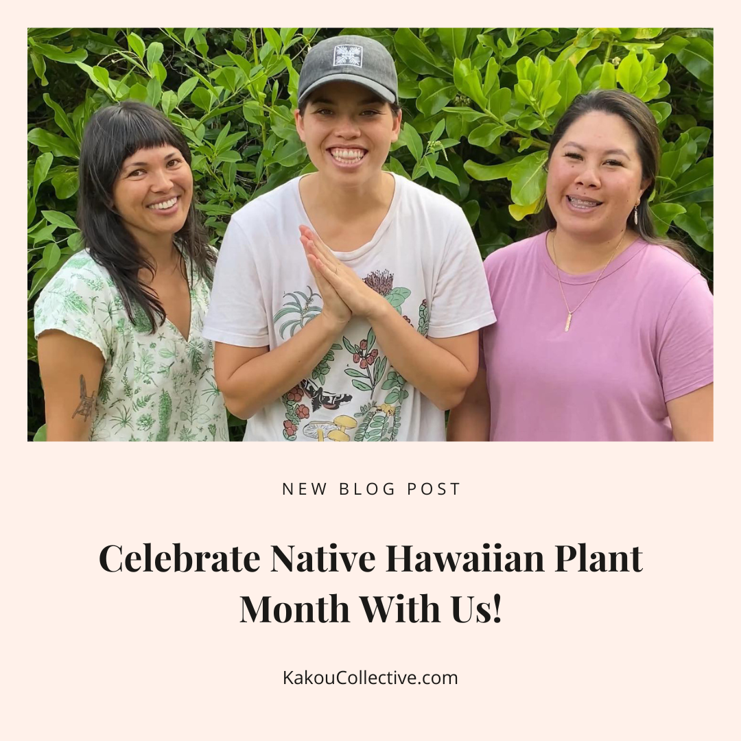 Native Hawaiian Plant Month Kakou Collective Laulima Hawaii Kaulumaika