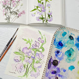 Watercolor Floral painting of Sweet Pea flowers out lined in ink