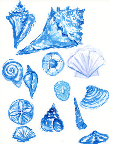 watercolor paintings of various seashells in blue