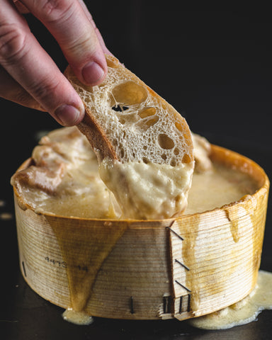A slice of baguette being dipped in a molten wheel of Vacherin Mont d'Or cheese.