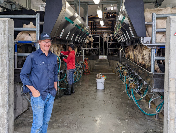 Cheesemaker Simon-Pierre Bolduc of La Station de Compton fromagerie in Quebec stands in the milking parlour as cows are being milked.