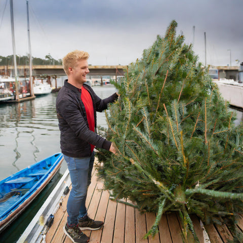 Loading Christmas trees onto a boat to dump for crappie habitats.