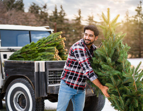 fisherman taking christmas trees for crappie habitats.