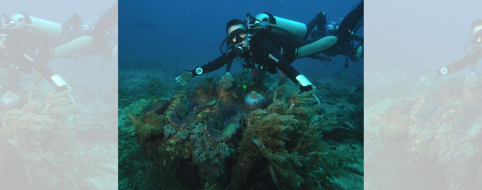 Almeja gigante con un buzo al lado en la arena en el fondo del mar (la concha marina más grande del mundo)