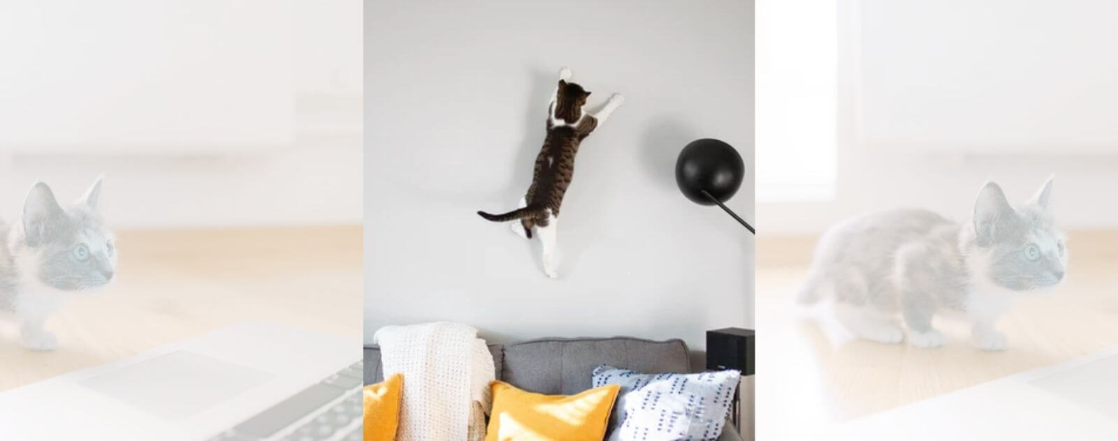 Gato saltando sobre una pared desde un sofá en una sala de estar