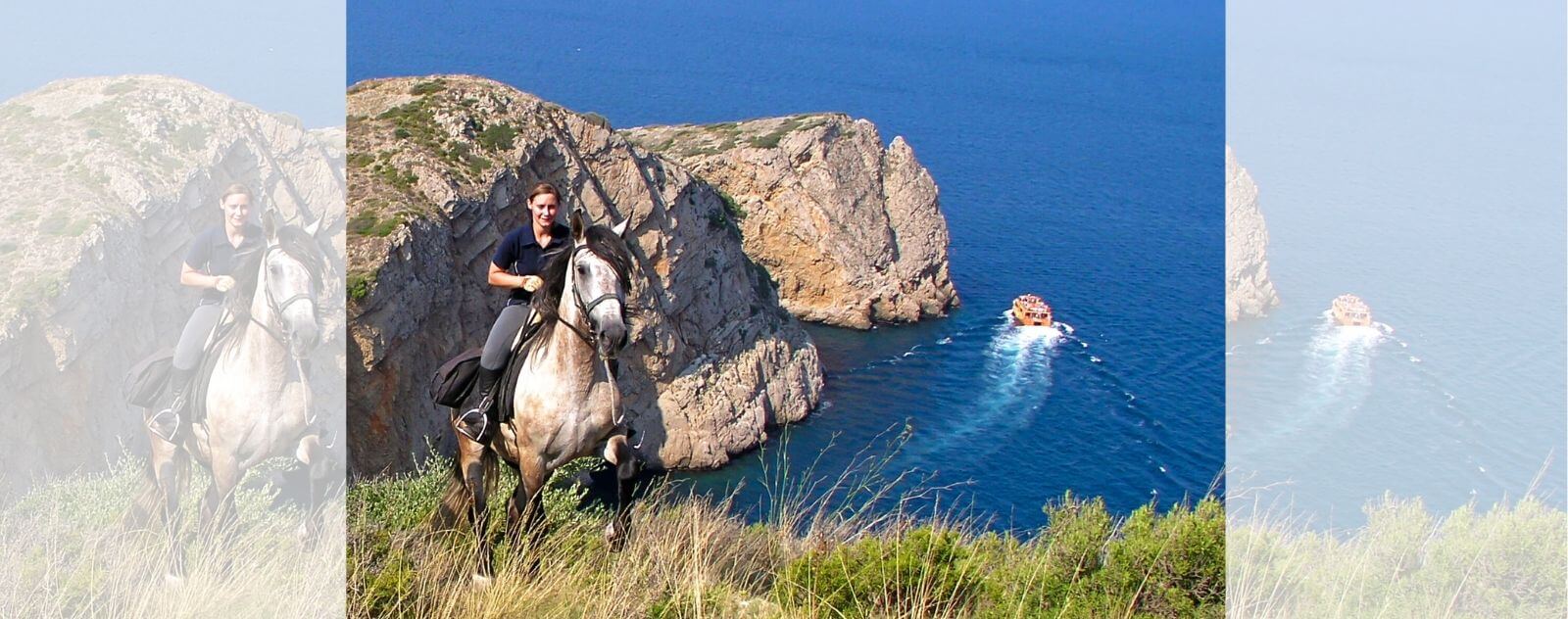 Caballo junto al mar sobre un acantilado en España