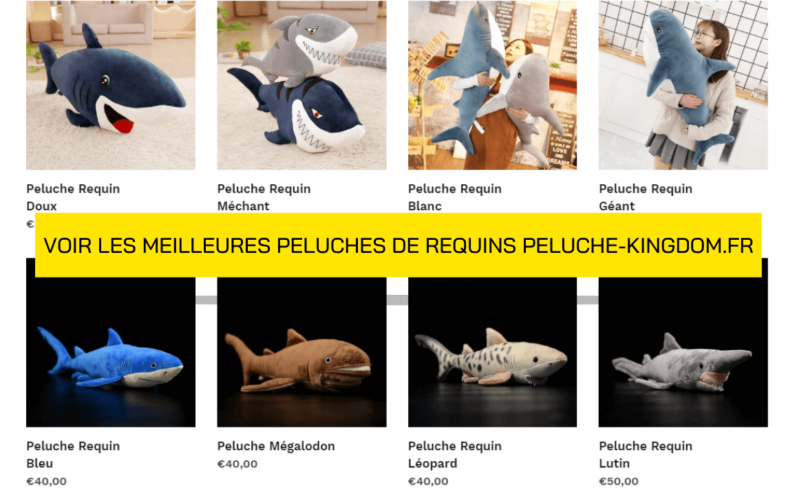 Collection Peluche de Requins