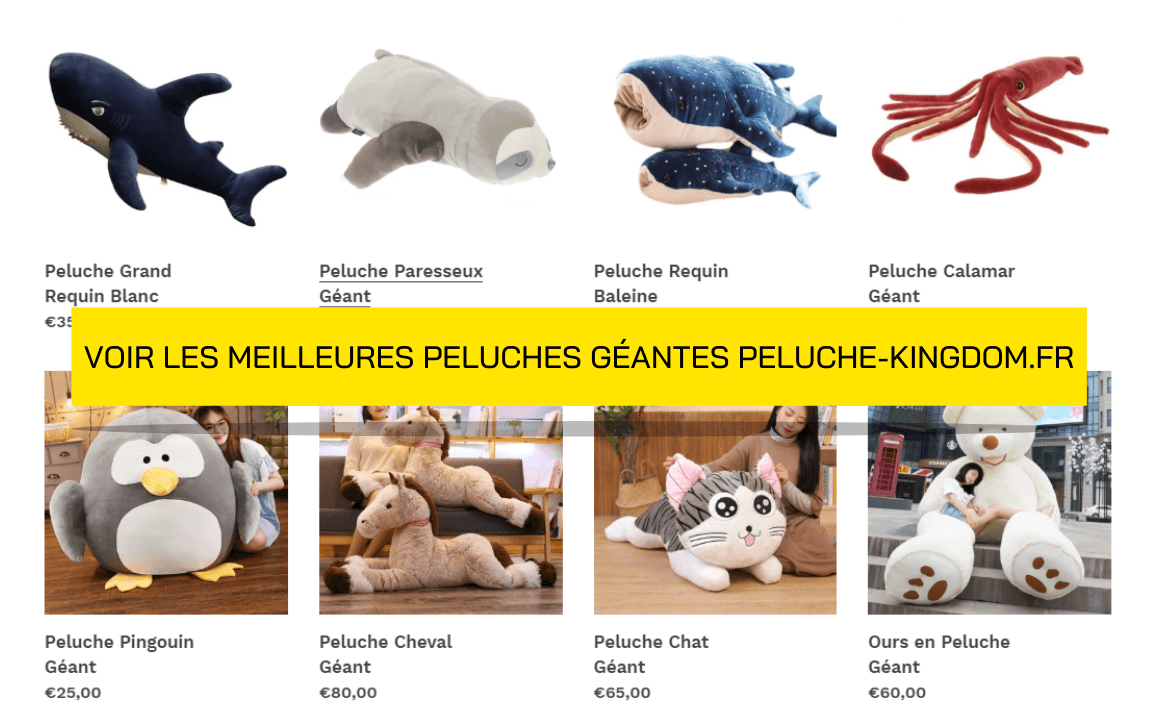 L'Histoire - les prémices des peluches les plus douces du monde