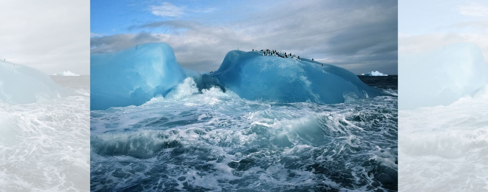 Pingüino sobre un témpano de hielo rodeado de agua