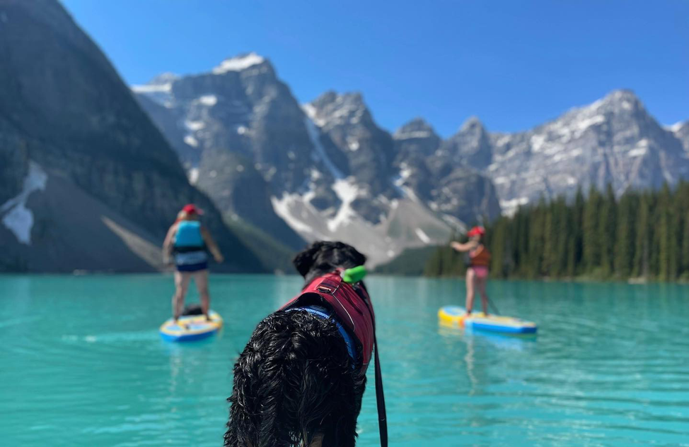 inflatable paddle board