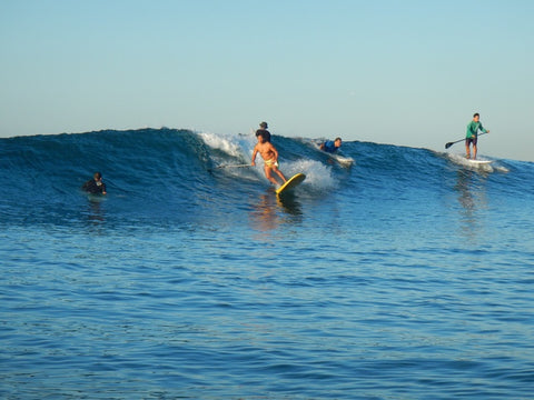 surfing a paddle board