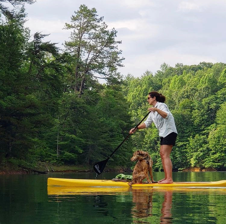 dog on a Glide paddle board