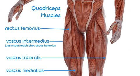 lower body muscles paddle boarding works