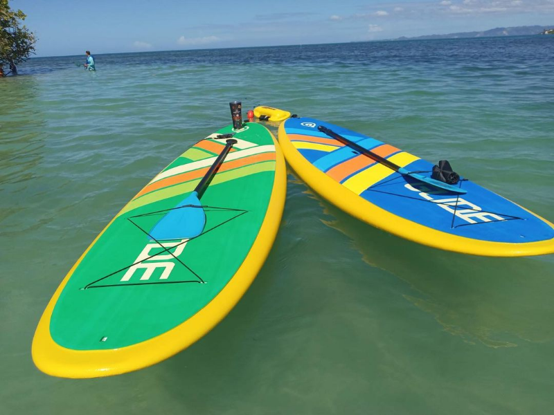 Glide paddle boards on the water