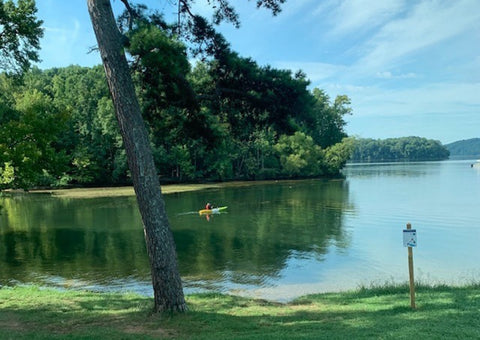 paddleboard in lake