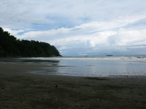 costa rica paddle board spot