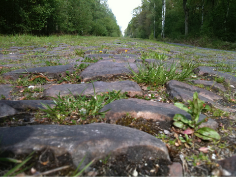 Stones at the entry to the Arenberg Forest Sector - 2008 Testing