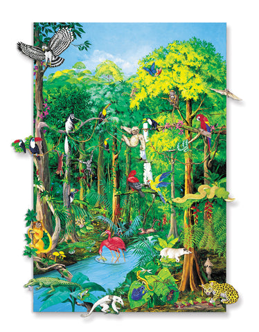 Betty Lukens — Rain Forest Animals