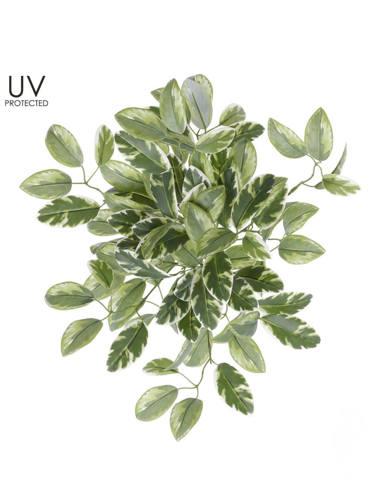 Artificial , Varigated, Euphorbia Leaves Bush