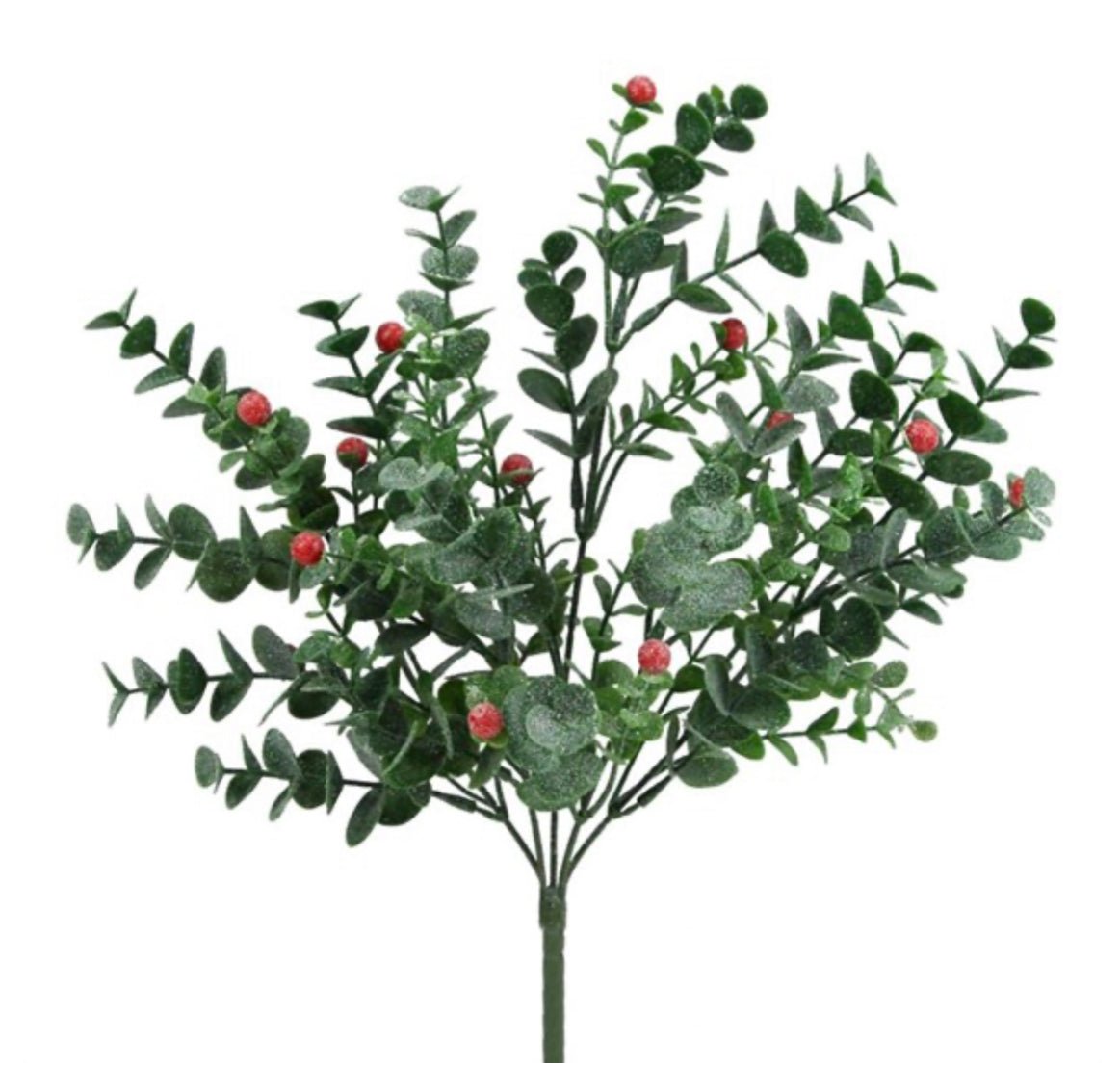 Eucalyptus greenery bush with red berries#N# #N# #N# #N# – Greenery Market